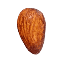 بادام درختی شور فله 5 کیلویی