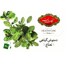 دمنوش نعناع گلستان بسته 20 عددی