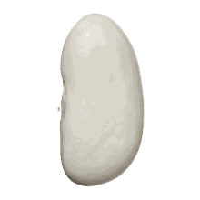 لوبیا سفید 5 کیلویی