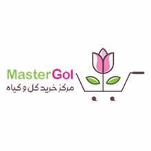 مسترگل