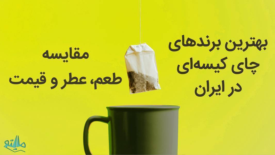راهنمای انتخاب بهترین برند چای کیسهای