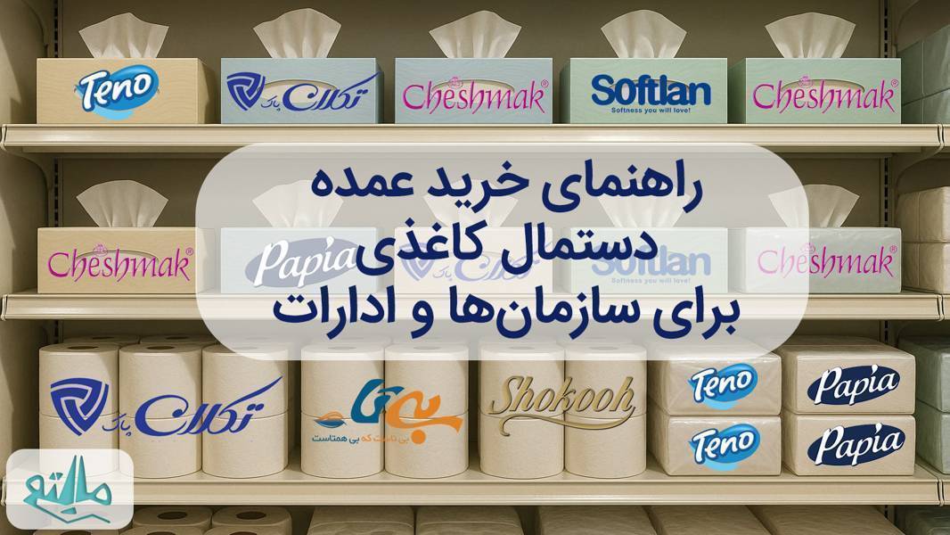 راهنمای خرید عمده دستمال کاغذی؛ نکات کلیدی تدارکات اداری و سازمانی
