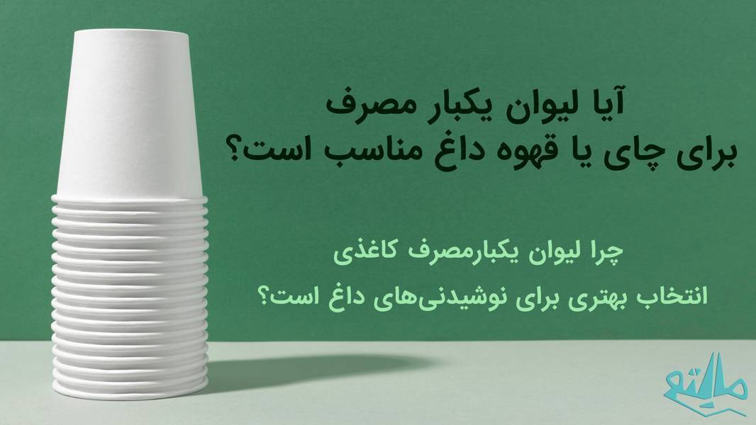 مقایسه لیوان کاغذی و لیوان پلاستیکی یکبارمصرف؛ کدام برای نوشیدنی داغ انتخابی بهتر است؟